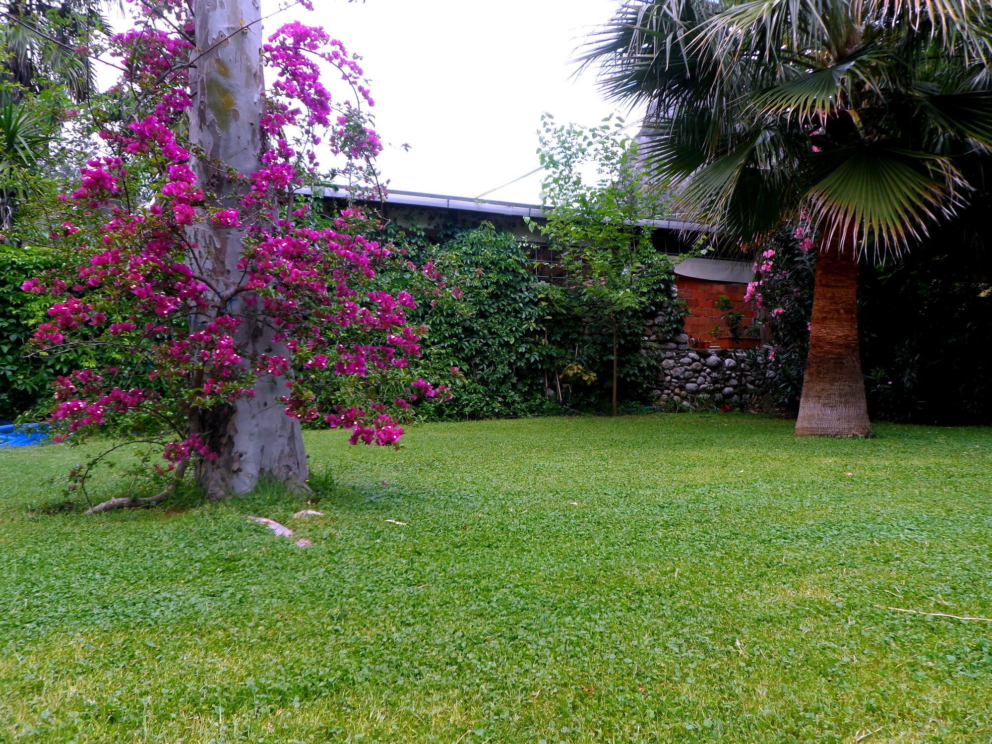 Arya Holiday Houses Çıralı Luaran gambar