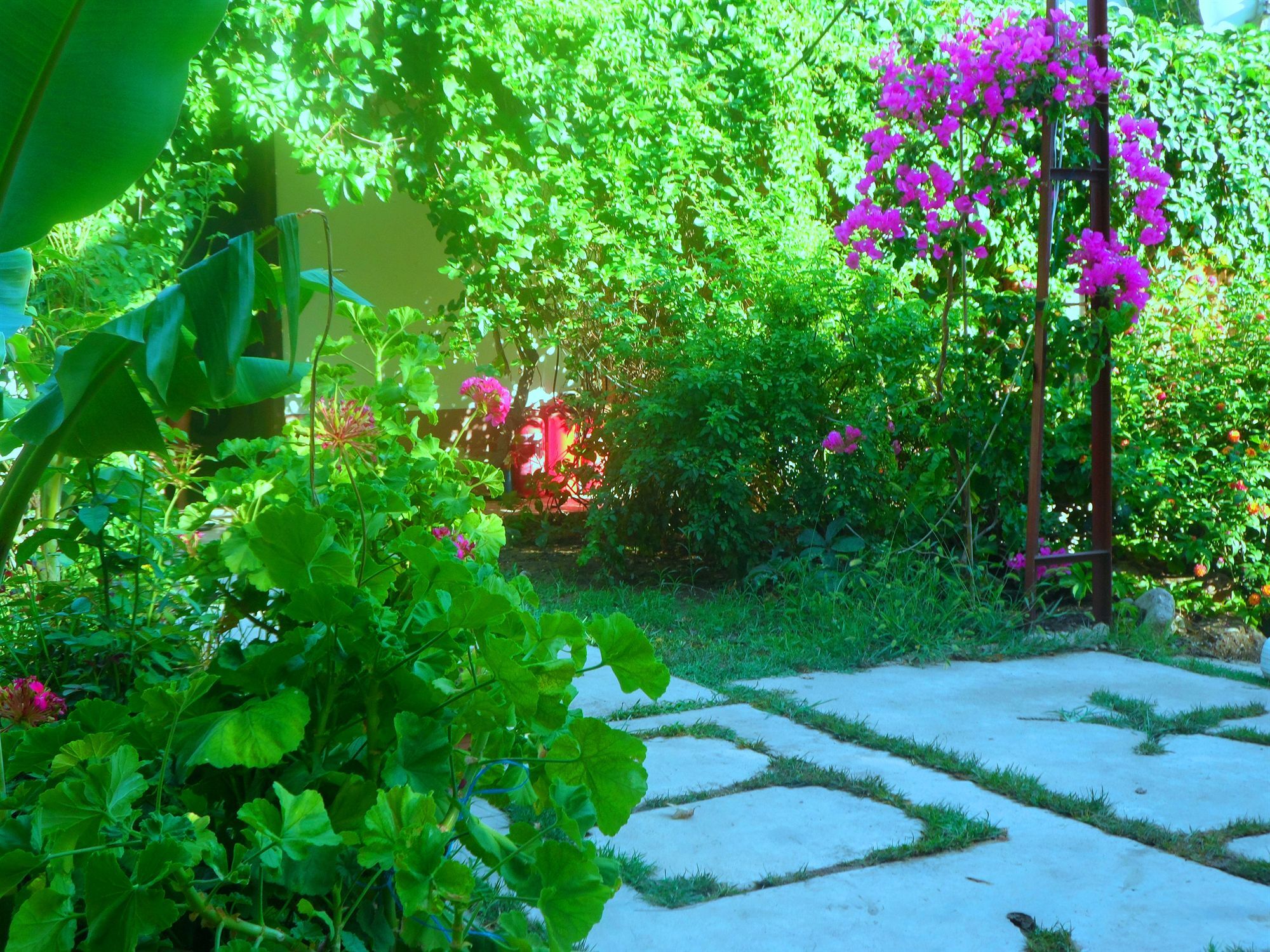 Arya Holiday Houses Çıralı Luaran gambar